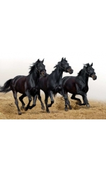 Estores impresos de animales REF 189